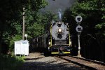 Steam at Haucks